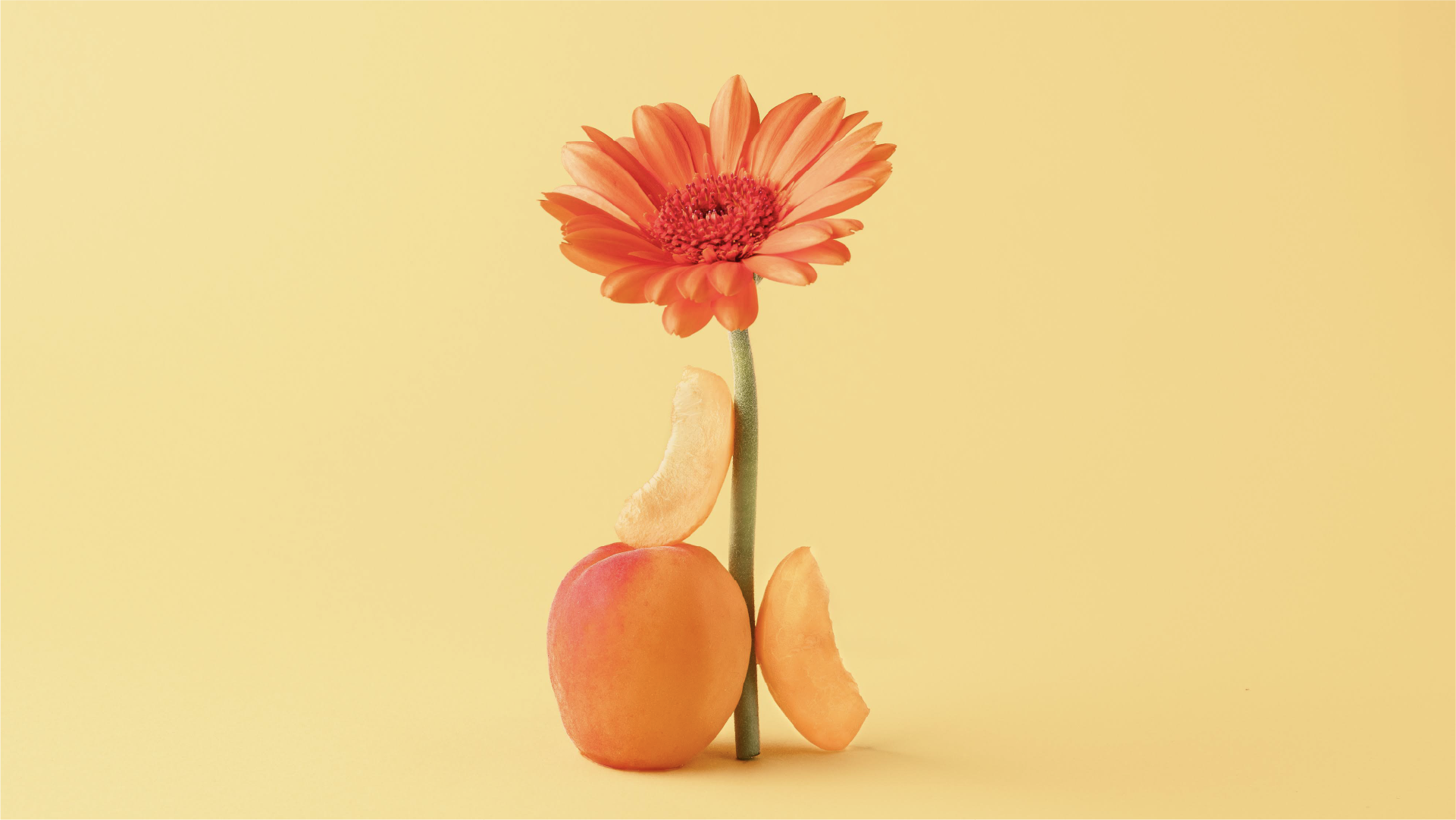 OPORA_Abricots