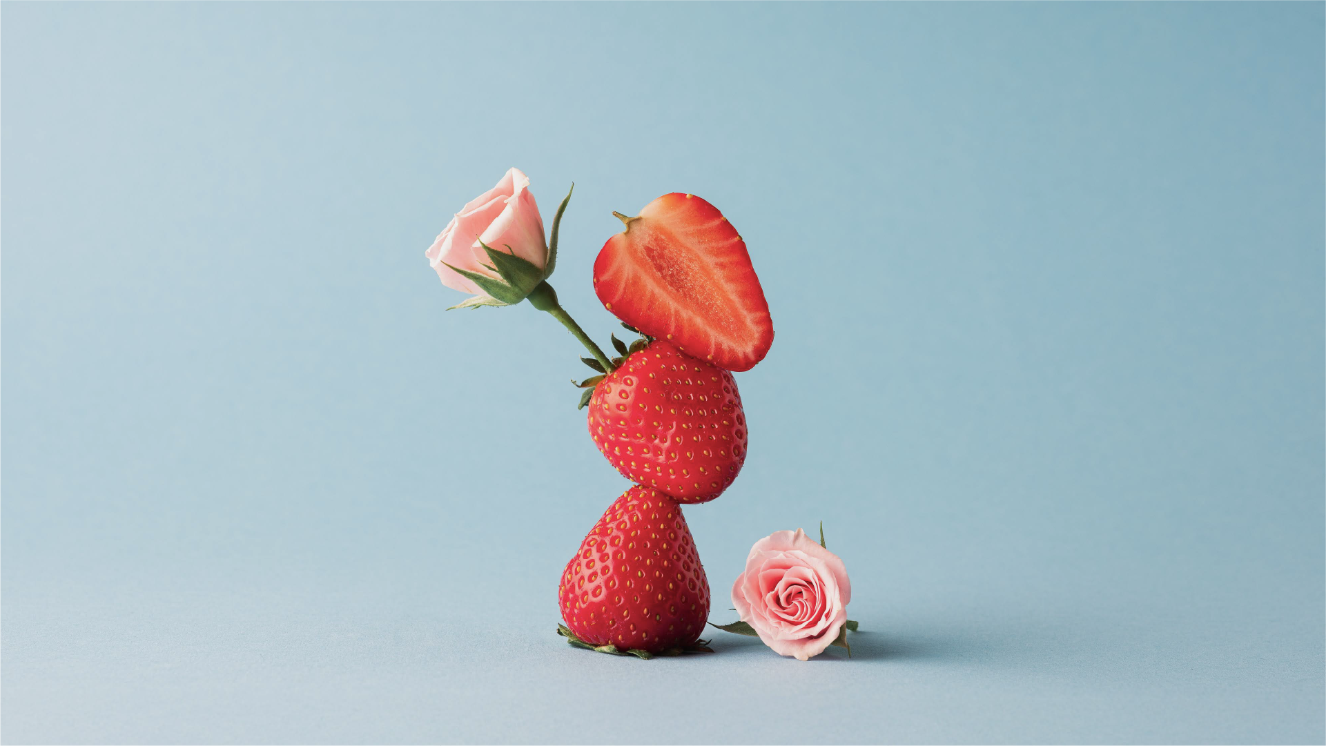 OPORA_Fraises